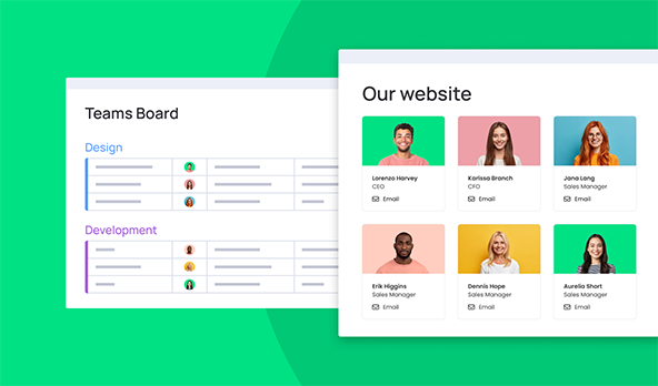 Board to Website Widget for monday.com